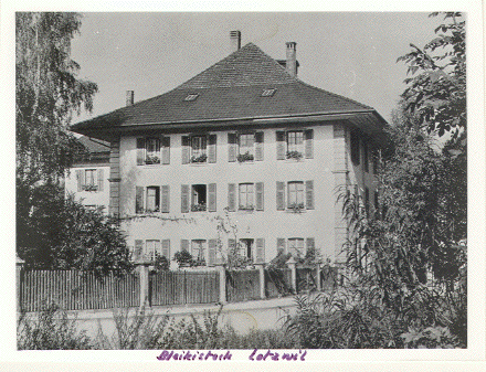 Bleikistock